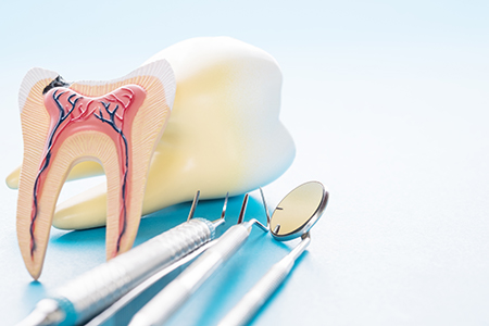 Murphy Dentistry